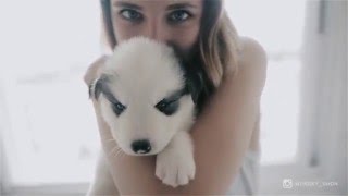 First Husky Puppy Simon Bath