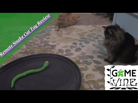 Snake Cat Toy Review: /w Game Vine