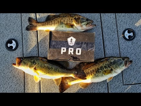 MTB Pro BOX Catches BIG Fish! 50 MILES Deep in the Glades!