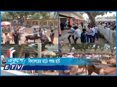 বিদ্যালয়ের মাঠে ৩৮ বছর ধরে বসছে পশুর হাট | ETV News
