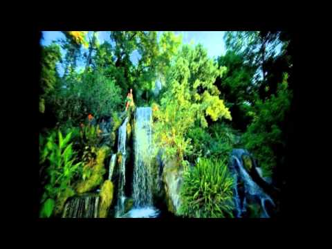 TIGER M GIFT Remix - Katy Perry - ROAR (Remix Video)