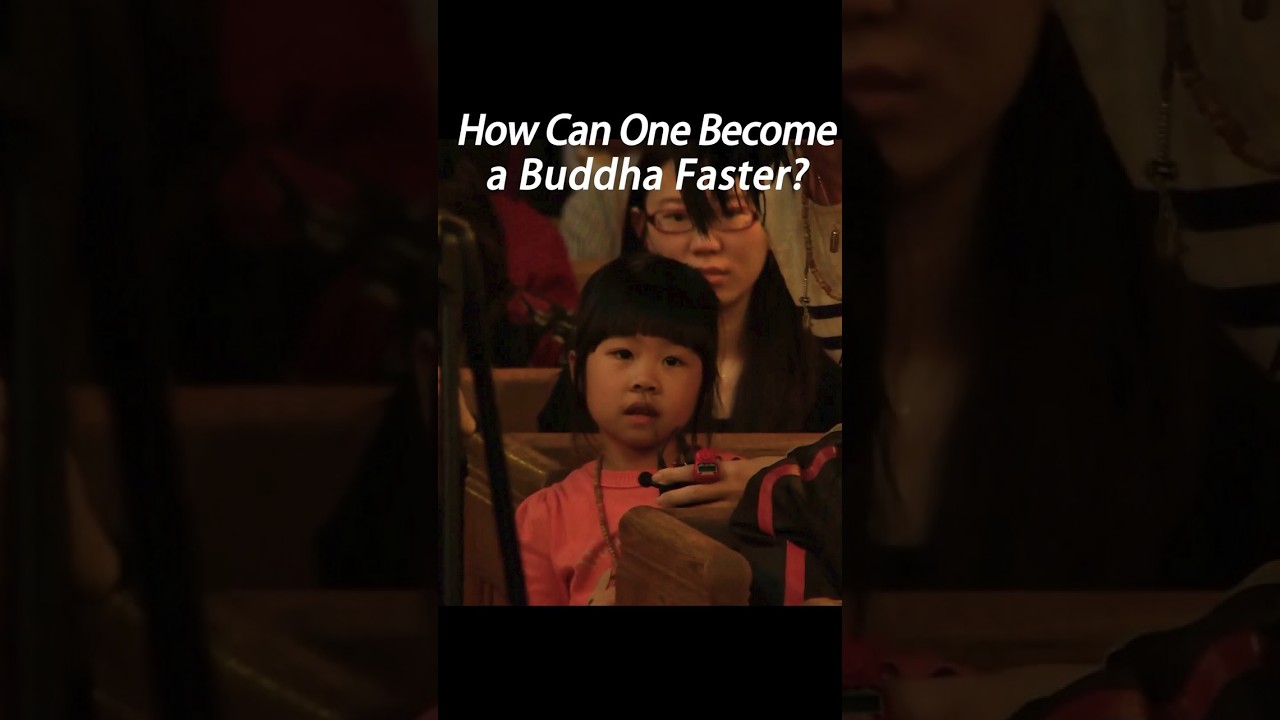 A Child Asked for a Shortcut, A Master Gave the Truth | 一个孩子祈求捷径，大师给了真相 （Khenpo Sodargye）