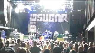 Big Sugar - One Hundred Ciggarettes Live at London Music Hall ft. Triggerfinger