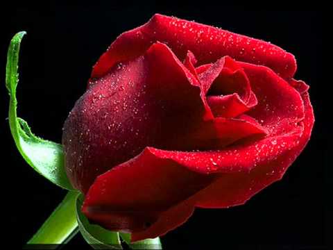 Emrah   Seni Seviyorum