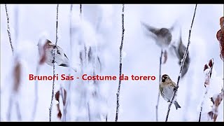 Brunori Sas - Costume da torero  (unofficial video) &quot;Penguins Wolves Birds and Sacred Cows&quot;  #nature