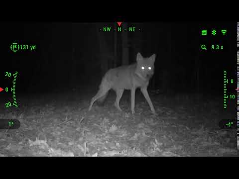 ATN BinoX 4K - Night Vision Mode