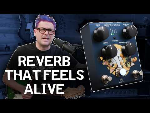 This Reverb is NOT Normal… Keeley Nocturne + Andy Timmons = Magic!