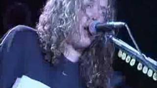 CUCA_que chingaos es la vida.