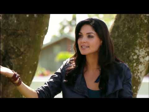 The Talisman - Episode 043