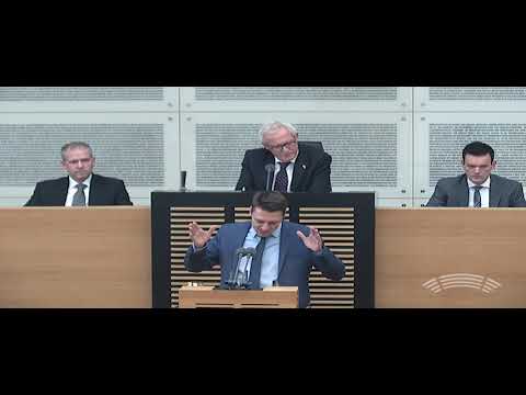 Raphael Schaefer CDU TOP9 2 20. Plenarsitzung 16. Wahlperiode 14.11.2018