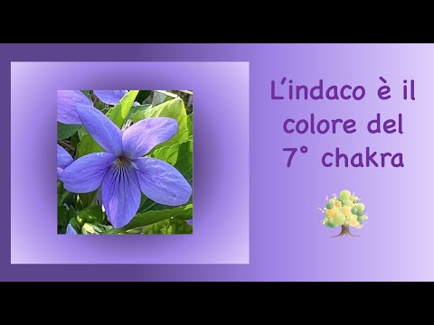 7° chakra INDACO   SD 480p
