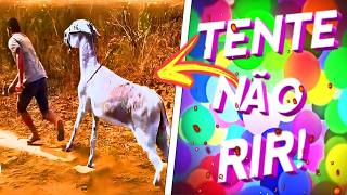 TENTE NÃO RIR 🤣😂 – OS MELHORES MEMES DE 2025 ! ( VOCÊ VAI CHORAR DE RIR 💀) #4