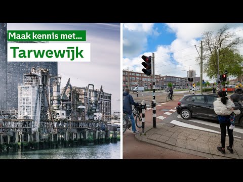 Maak kennis met de Tarwewijk | #Ons010