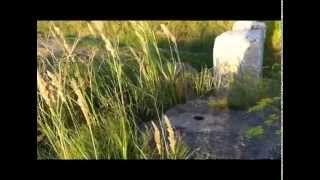 Vind|Siv|Skrot|Luft|Havn|Himmel&Hav