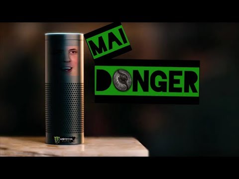 TI Winner Echo (MaiDonger - Amazon Echo Parody)