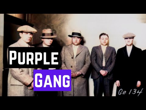 THE RISE AND FALL OF THE PURPLE GANG