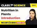 Class 7 Science Chapter 1 Introduction Nutrition In Plants