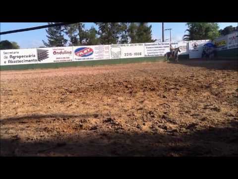 4ª Copa de Marcha do Cavalo Mangalarga Marchador de Juiz de Fora-MG