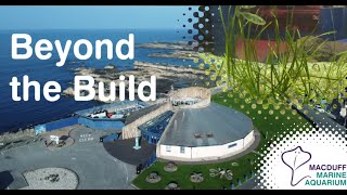 Seagrass Tank - Beyond the Build Vlogs