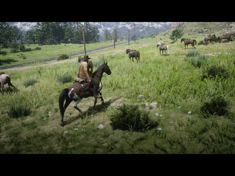 Rdr2 Best horse | Horse killed his owner | Arthur found Mustang Horse