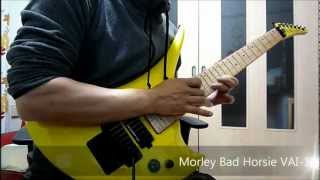 Video thumbnail for Uli Jon Roth - Bridge To Heaven - Gary Kramer Turbulence R-36 & Eleven Electrix Gotty Boy by akaob721