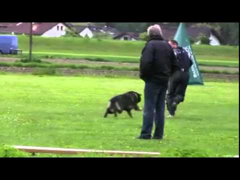 Ingo vom Weinbergblick  IPO1 C