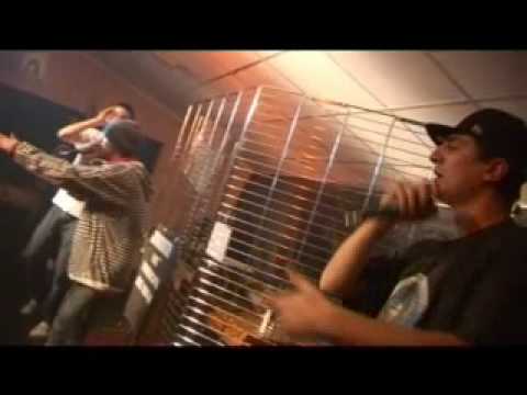 07- ULTIMA PUNTATA DI KTV - PIRANHA CLIQUE - COME SCUSA??