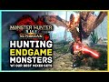 Monster Hunter Rise Sunbreak - Taking on Endgame Monsters w/ Our Best Mixed Sets