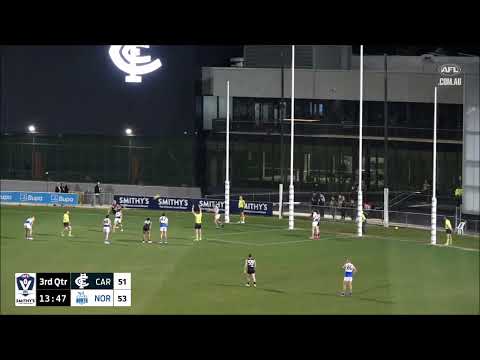 Harry Lemmey - VFL 2025 Round 13 Highlights - Carlton vs North Melbourne