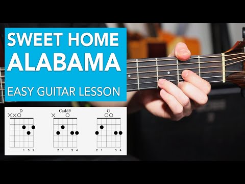 Play Sweet Home Alabama on acoustic with 3 EASY CHORDS!