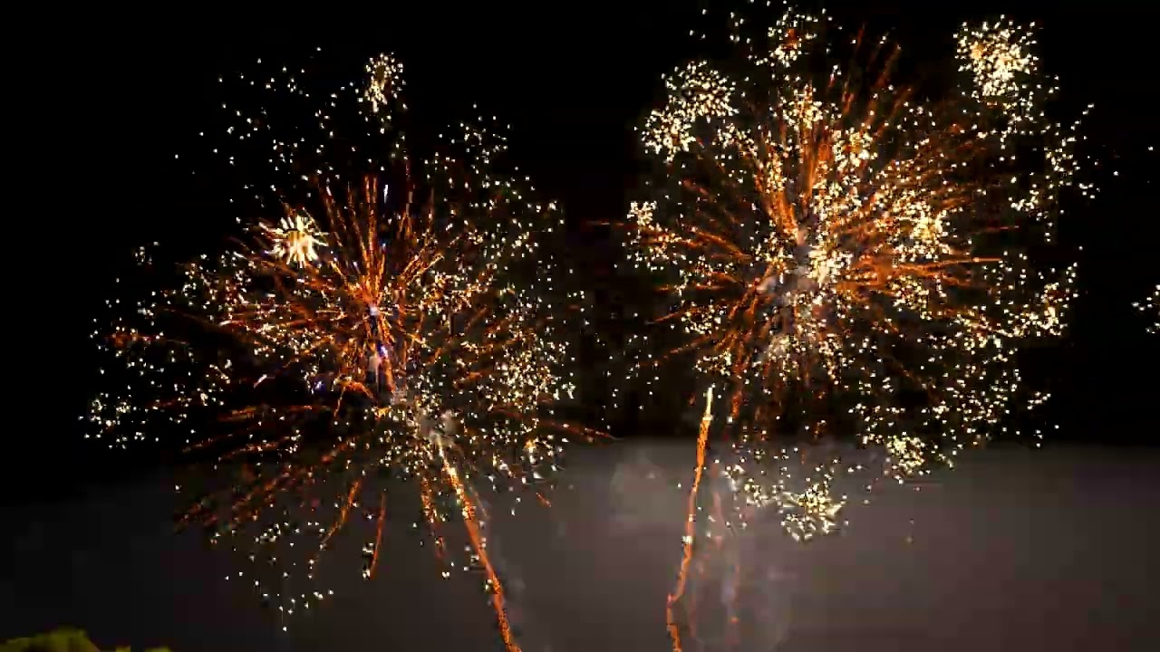 Wild Thing - New for 2025