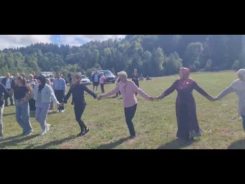 Tef.~kolloo.Rakova noga/31.o8."25/~kolloo.