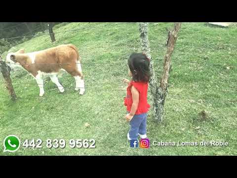 Cabaña Lomas del Roble