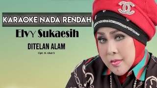 Download lagu Elvy Sukaesih - Ditelan Alam Karaoke Lower Key Nada Rendah mp3