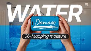 Stop Typing Moisture Logs: Send Tramex Readings Straight to Your Floor