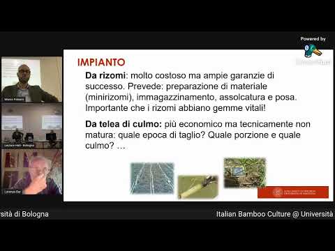 , title : 'Cultura Italiana del Bambù. 24/09/2021, Università di Bologna'