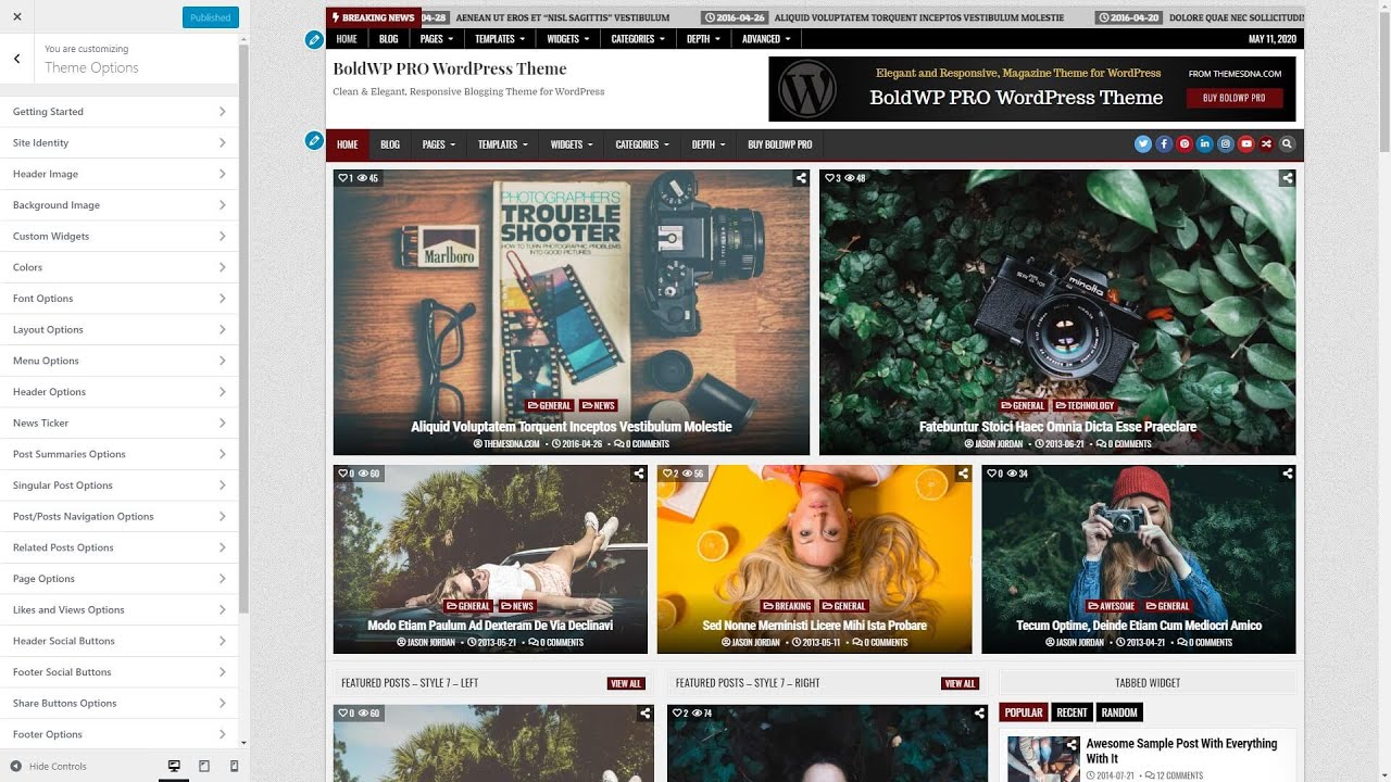 Customizer Theme Options - BoldWP PRO WordPress Theme