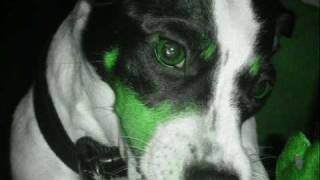 Sarah The T.V Weather Guy (Girl)