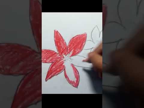 flower drawing