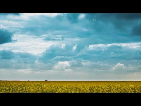 Dark Storm Clouds Above flowering yellow canola colza in spring Field. Time Lapse, Timelapse, Time