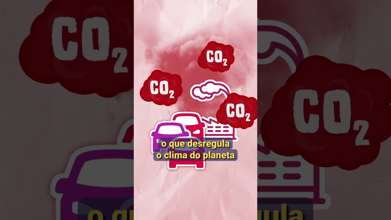 Por que CUIDAR do MEIO AMBIENTE? #shorts