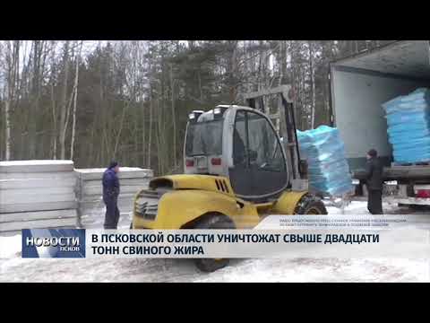 05.02.2018 / В Псковской области уничтожат свыше двадцати тонн свиного жира