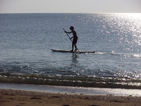 nature morte Venise Normandie sables d'olonne Provence