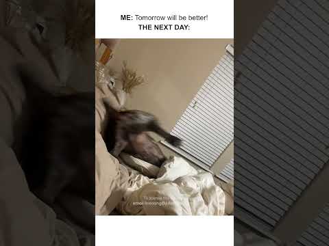 Chaque jour est une lutte