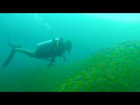 2018 1230 171522 038