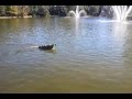 Higgins Boat Test 11 14 10