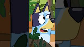 Bluey has to BEWARE of Spiders and Snakes! 😫🕸️ | Bluey