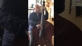 Video thumbnail for FMI Basses | Pro Playing SHEN SB-88 2020 by fantastictommy