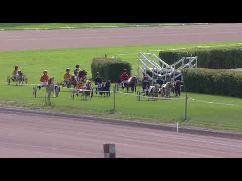 Avenches/23.08.2020/Hedy Schlatter Sommerpreis - Poneys A - C2