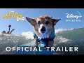 It's a Dog's Life | Official Trailer | Disney+